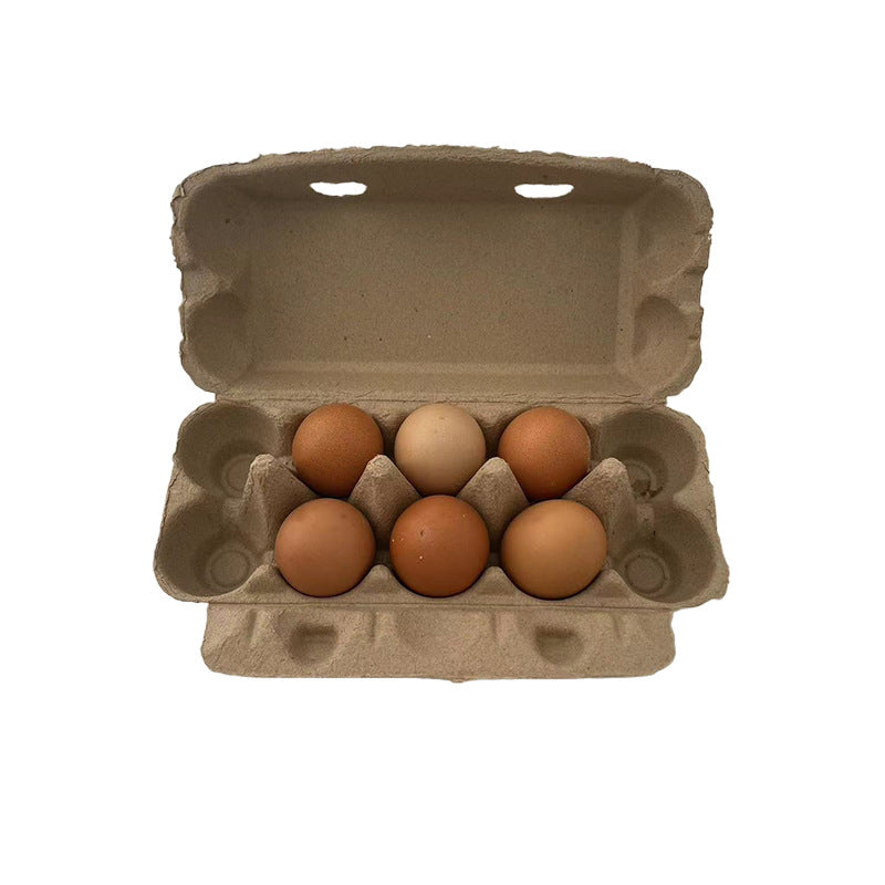 Biodegradable Egg Tray Wholesale