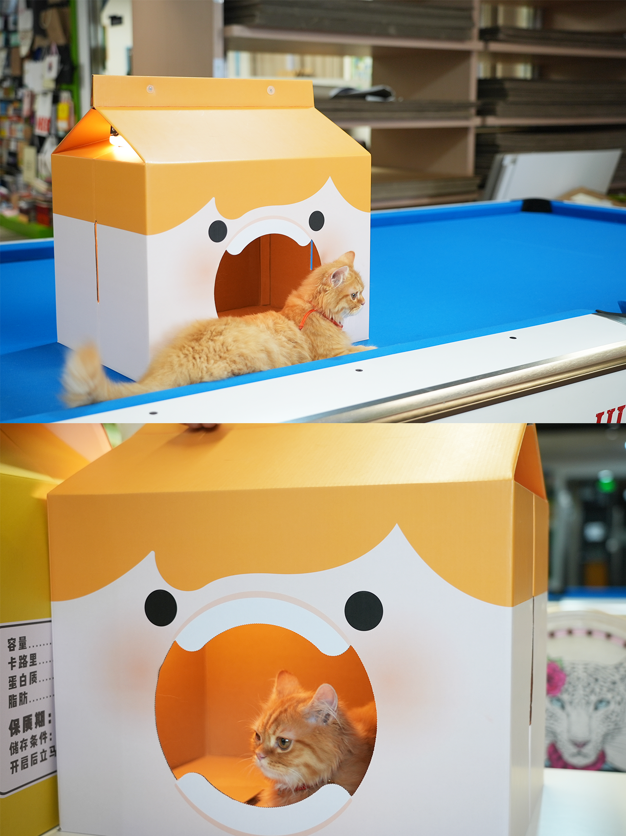 Cat House From Cardboard Box