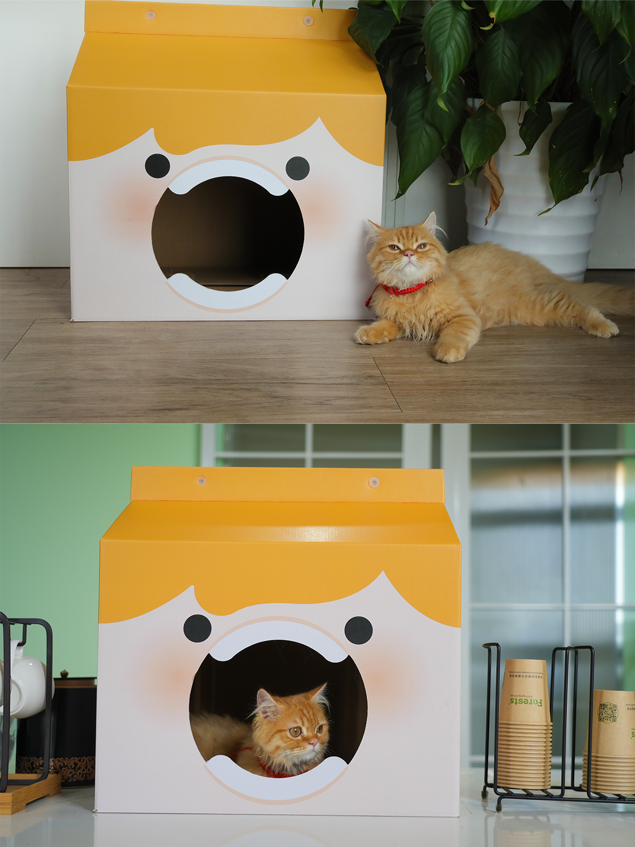 Cat House From Cardboard Box