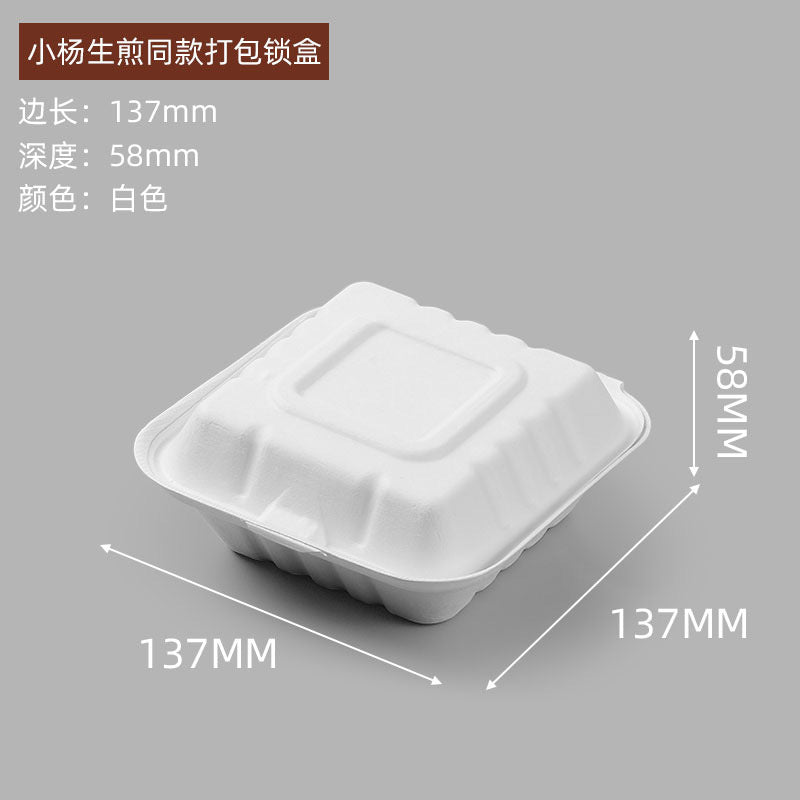 Disposable Food Packaging Boxes