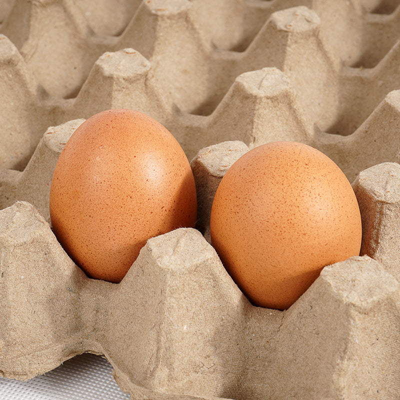 Biodegradable Egg Tray Wholesale