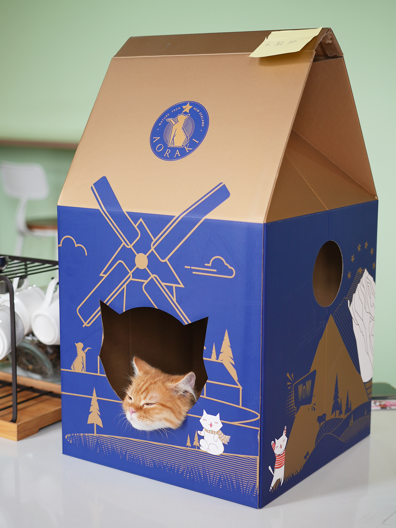 Cat House From Cardboard Box