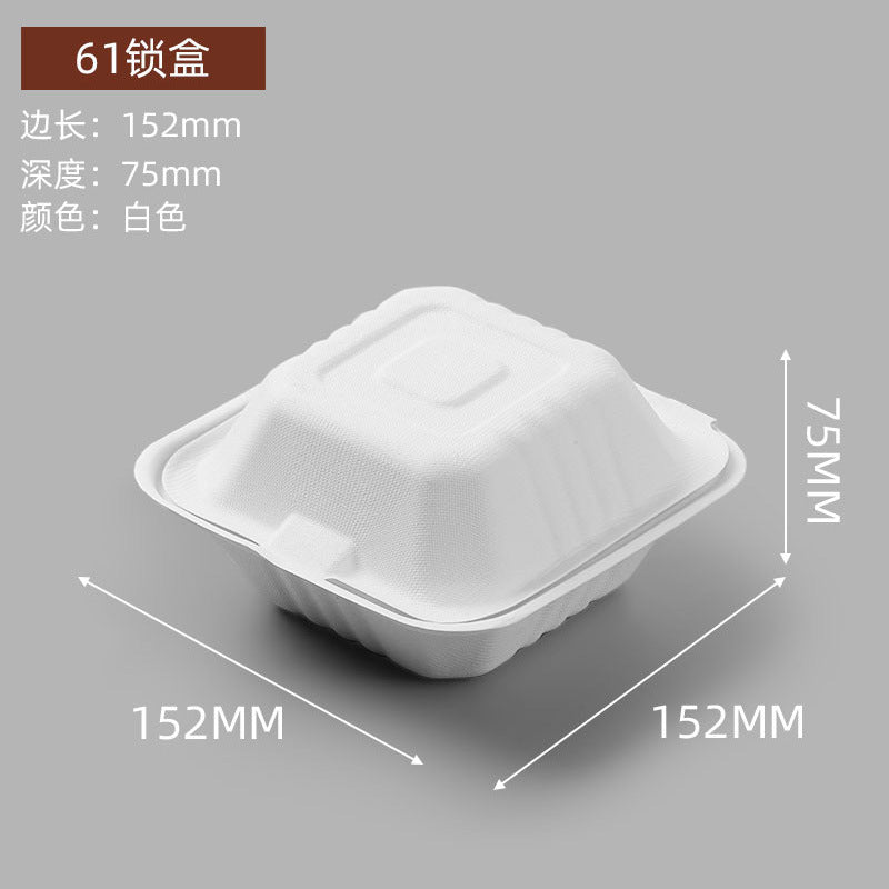 Disposable Food Packaging Boxes