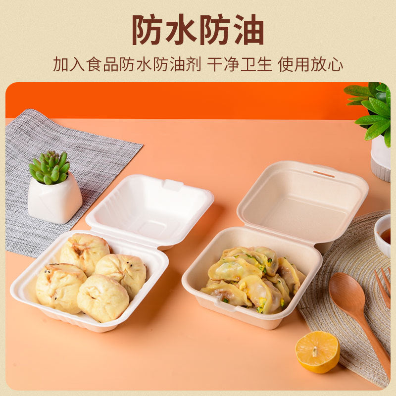 Disposable Food Packaging Boxes