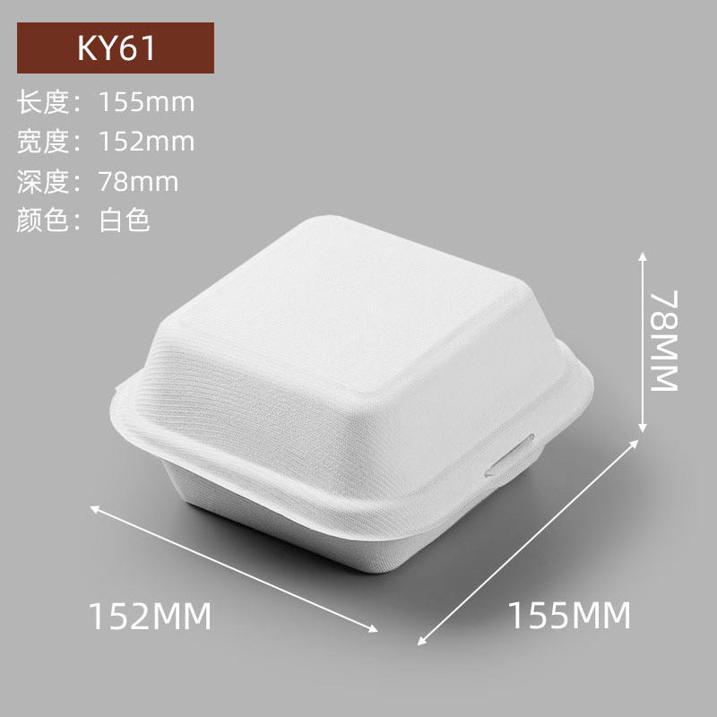 Disposable Food Packaging Boxes